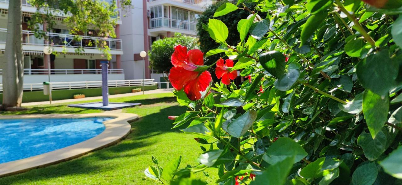 Apartamento Dianium By Denia Costa Екстер'єр фото